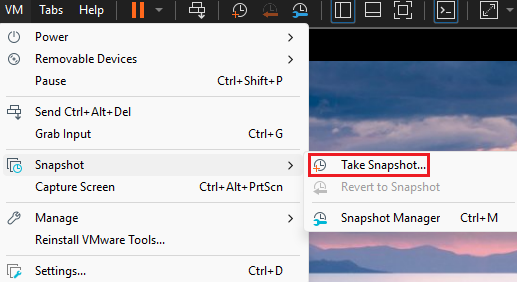 Snapshot Walkthrough