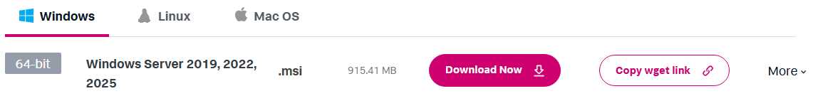 Splunk Download Button