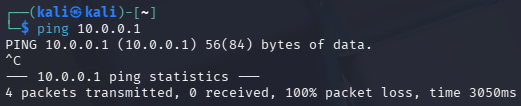 Kali Linux ping