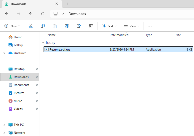 Downloaded Malicious File