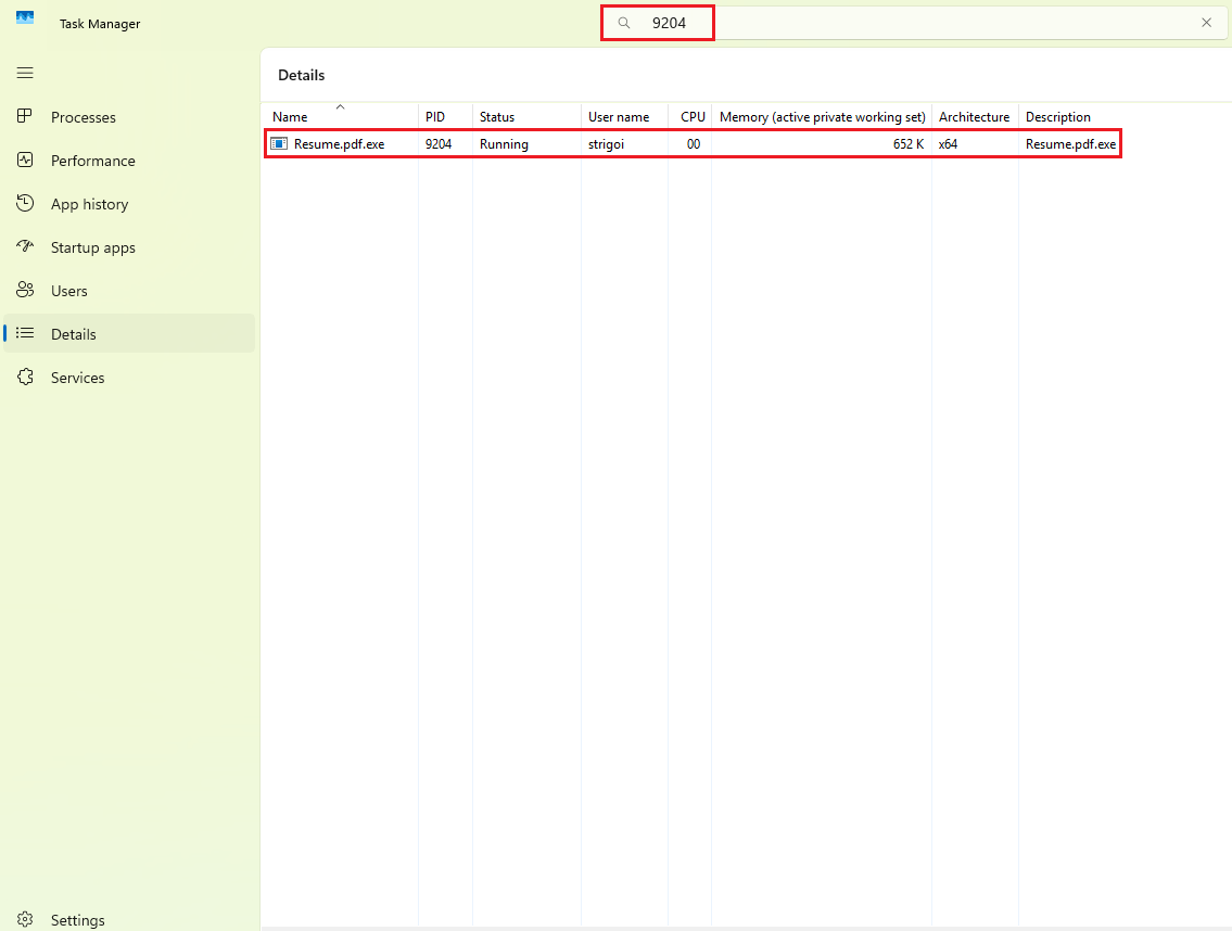 Task Manager Details