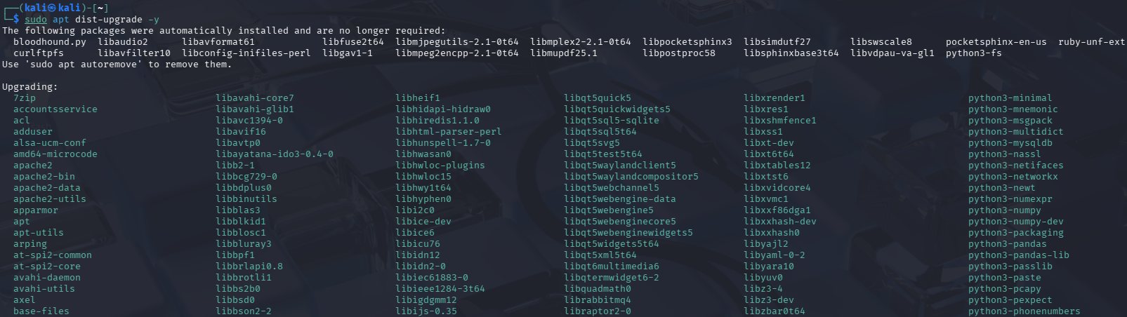 Kali Linux Upgrade