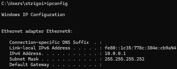 Windows ipconfig