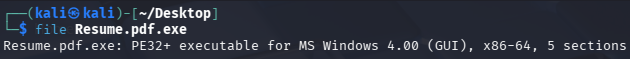 Msfvenom File Type
