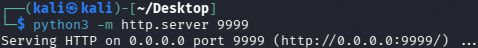 Python Server