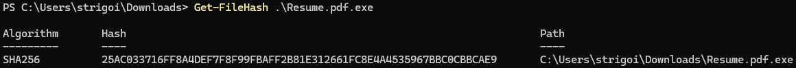 Malicious File Hash