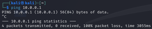 Kali Linux ping